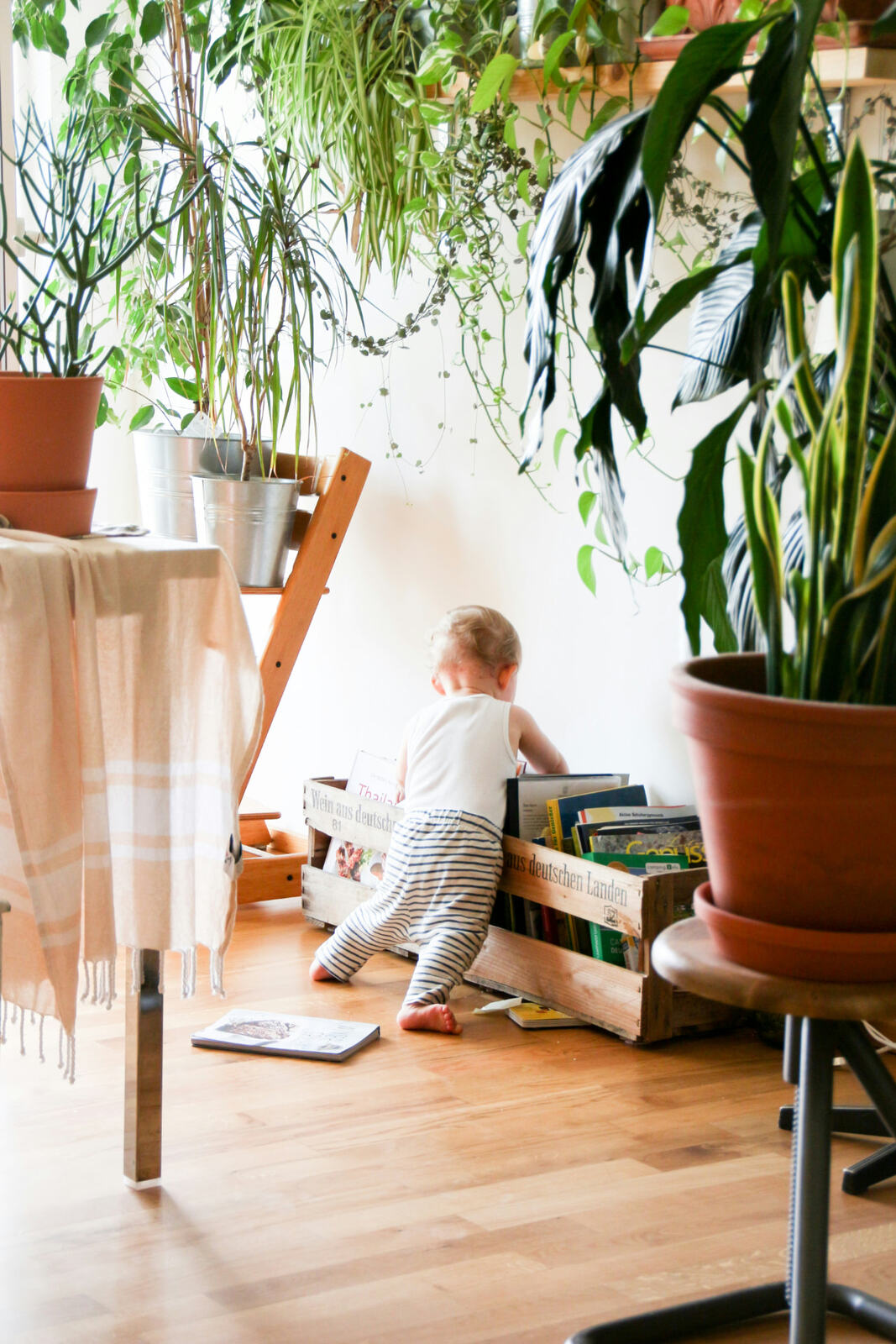 Baby pulling picture books from a wooden crate in a plant-filled room